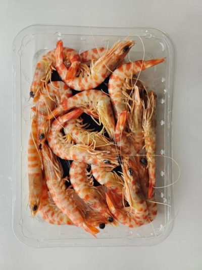 Langostino tigre cocido