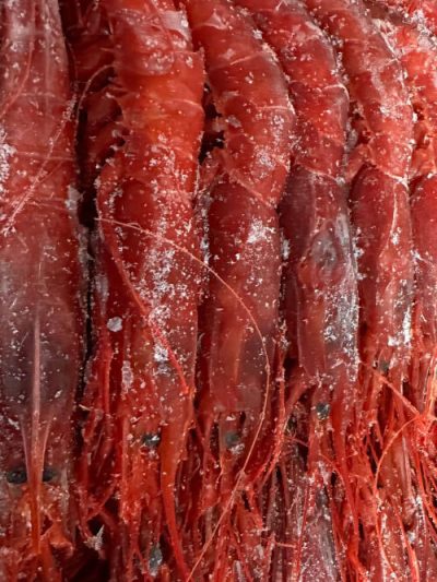 Carabineros
