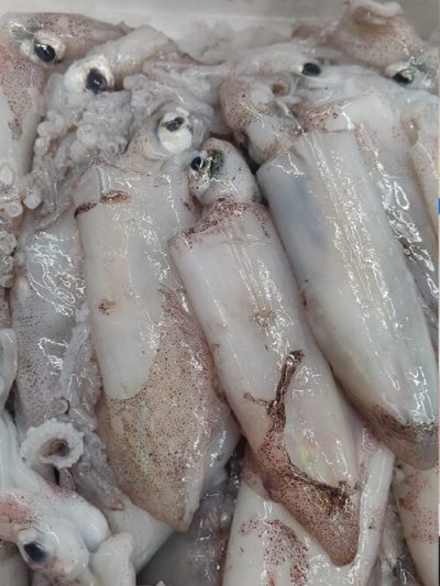 Chipirón