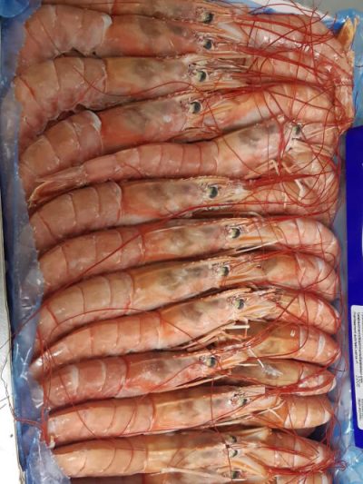 Gambón