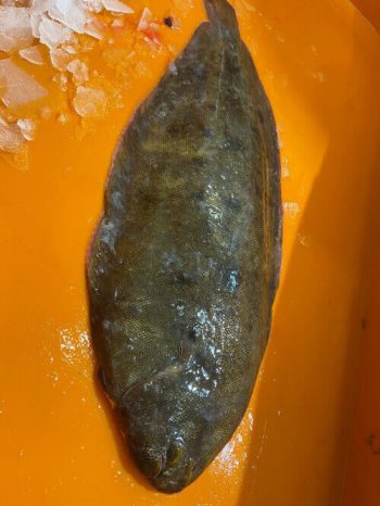 Pescados